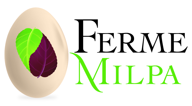 Ferme Milpa